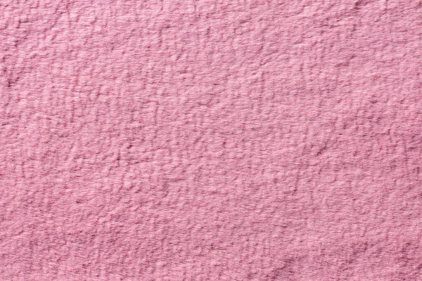 Tło Miękkiego Dywanu Kolorze Pacific Pink — Zdjęcie stockowe