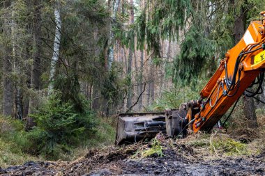 Ormanda çalışan ağır ekipmanlar, eski ve değerli bir stanttan ormanların tahrip edilmesi, karbondioksit CO2 'yi absorbe eden ekosistem için bir tehdit. 