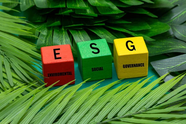 Esg Environmental Social Governance Concept Esg Words Wooden Block Idea — Fotografia de Stock