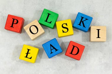 Polonya Dili Konsepti, Polonya 'da böceksiz ekonomi programının başlatılması, devlet finansmanında reform 