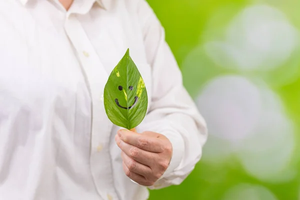 Бізнес Леді Тримає Руках Зелений Лист Розмальованою Посмішкою Природним Фоном — стокове фото