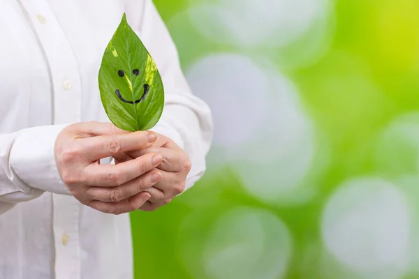Бізнес Леді Тримає Руках Зелений Лист Розмальованою Посмішкою Природним Фоном — стокове фото