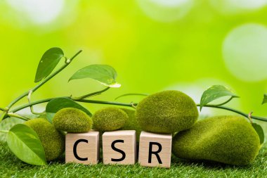 Tahta bloklar üzerindeki CSR, yeşil doğa geçmişi, konsept, iş ve organizasyon için, kurumsal sosyal sorumluluk ve topluluk için