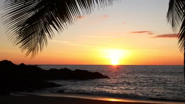 热带海滩上的落日 摇曳的棕榈叶 节日的气氛 自然的色彩 平静的大海在夕阳西下的光芒中闪耀 — 图库视频影像