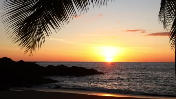 Tramonto Una Spiaggia Tropicale Foglie Palma Ondeggianti Atmosfera Natalizia Colori — Video Stock