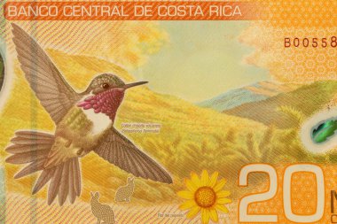 Kosta Rika, Yeni 20.000 kolon banknotu, yakın plan, sinekkuşu ile paranın arkası.