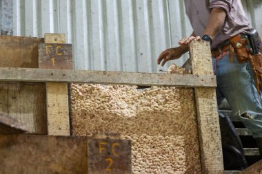 Kakao ve çikolatanın ekolojik üretiminde mayalanmış kakao tohumlarının karıştırılması