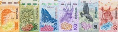Hayvanlı yeni serinin tüm Arjantin banknotları, yan yana dizilmiş, Dar Panorama pesoları