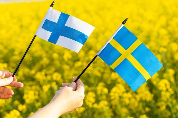 A woman holds the flags of Finland and Sweden in her hands, the Concept of the Alliance and the alliance of both Scandinavian countries