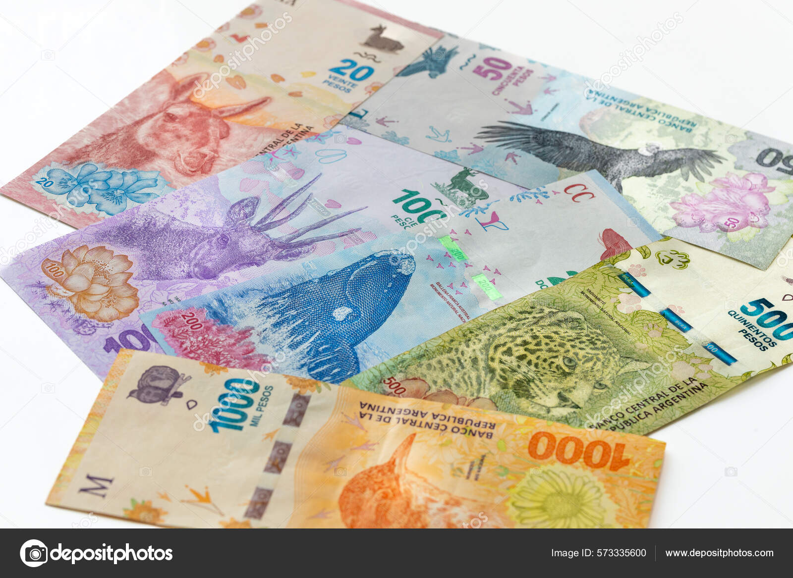 TITLE图库插图© 作者rochu_2008 #573335600