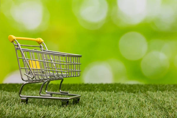 Cesta Compra Fondo Naturaleza Creativo Concepto Responsable Compras Negocios Con —  Fotos de Stock