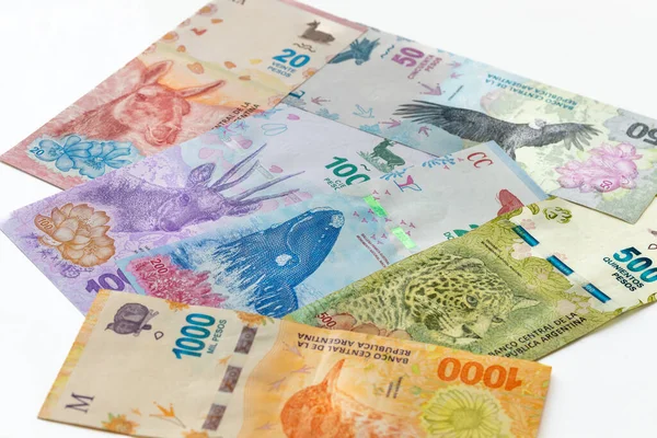 阿根廷货币 所有新动物系列的钞票 白色背景 — 图库照片