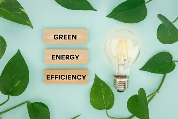 Light bulb surrounded by leaves and text on wooden blocks, Green energy efficiency, Ecological system, Creative concept, Modern energy sources, bright background, flat lay