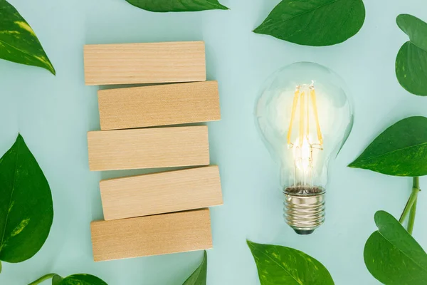 light bulb between the leaves on a light pastel background, ecological system, empty space, green energy, natural sources of electricity, creative, lay flat, place for a note