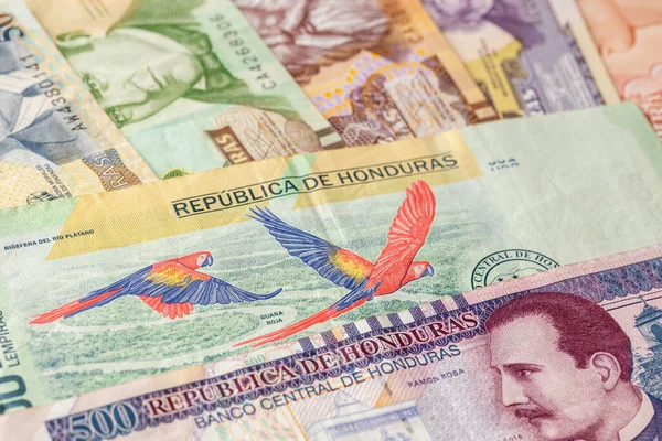 Honduras Dinero Billetes Papel Moneda Creativa Negocio Banca Finanzas 500 —  Fotos de Stock