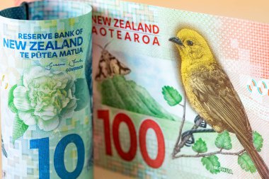 Yeni Zelanda, On ve Yüz Yeni Zelanda Doları, Döviz Kuru, Mali Konsept