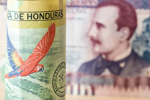Currency Honduras Rolled 200 Lempira Banknote Macaw Parrots Highest 500 — Stock Photo, Image