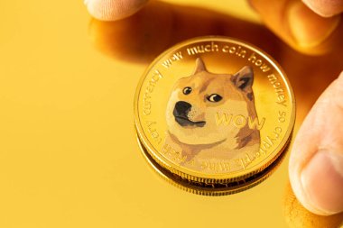 Dogecoin Cryptocurrency, Coin with a dog, lying on a golden mirror with a dog, Virtual money