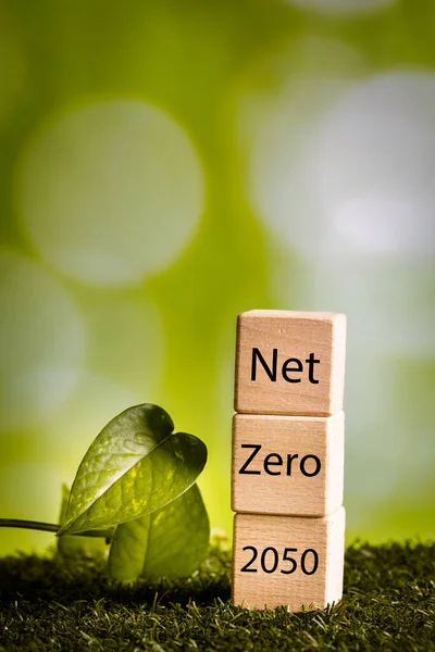 Net zero 2050 Carbon neutral. Net zero greenhouse gas emissions target. Climate neutral long strategy. Fight against global warming. wooden blocks with netzero icon among natural greenery, copy space
