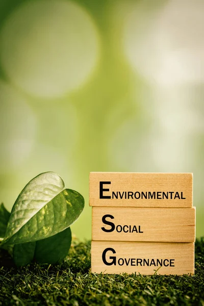 ESG environmental, social and governance concept. ESG word on a wooden block, Sustainable development of the organization. take into account the environment, society and corporate governance, copy space, Vertical