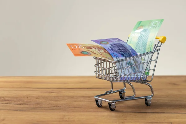 Nicaragua Money Shopping Cart Concept High Prices Inflation Rising Prices — 스톡 사진