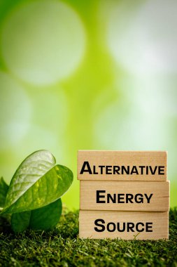 alternative energy source, Written on wooden blocks, Bright background, Green leaves, The concept of using natural energy sources without interfering with the environment, vertical photo, copy space