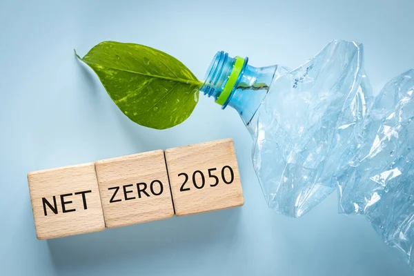 A crushed plastic bottle with a young green leaf growing out of it, wooden blocks with the words Net Zero 2050, Environmental concept, Reduction of greenhouse gas emissions and plastic recycling