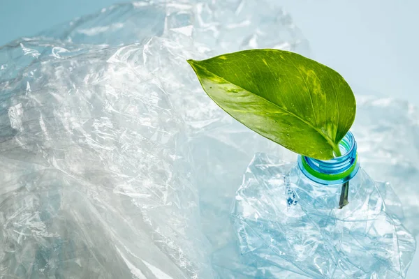 plastic foil and a bottle with a sticking out young green leaf, Environmental concept, Reduction of plastic for the good of the earth
