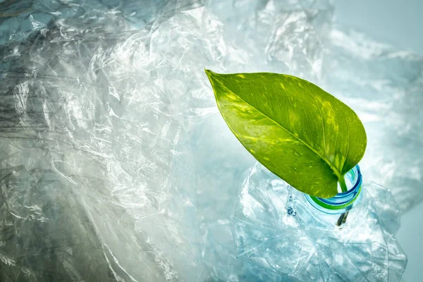 plastic foil and a bottle with a sticking out young green leaf, Environmental concept, Reduction of plastic for the good of the earth