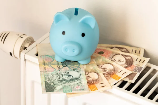 Çek korun, Çek Cumhuriyeti 'nde artan enerji fiyatları ve daha pahalı ısıtma konseptiyle birlikte radyatörün üzerinde yatıyordu.