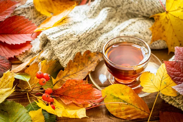 Herbstzeit Schönes Klima Eine Tasse Heißen Tee Goldene Blätter Warmer — Stockfoto