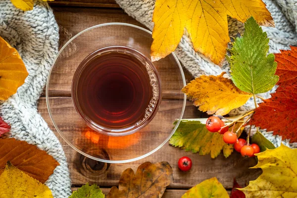 Bir bardak sıcak çay, renkli sonbahar yaprakları mevsimlik konsept, güzel altın sonbahar mevsimi