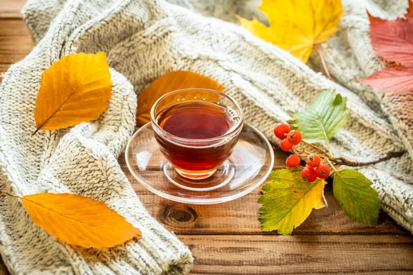 Sonbahar mevsimi, güzel iklim, bir fincan sıcak çay, altın yapraklar, sıcak yün kazak, ahşap masa.