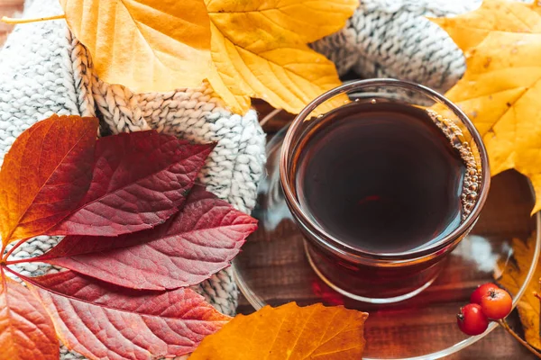 一杯热茶 五彩缤纷的秋叶 季节观念 美丽的金秋季节 — 图库照片