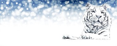 Mutlu yıllar, numaralar, kedi, noel, yeni yıl kedisi, Noel baba, yeni yıl kartı