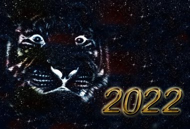 Mutlu yıllar, numaralar, kedi, noel, yeni yıl kedisi, Noel baba, yeni yıl kartı