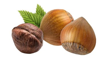 Fındık fıstığı beyaz arkaplanda izole edilmiş, tasarım ögesi