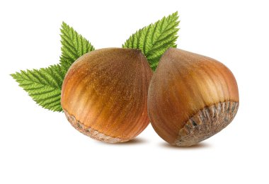 Fındık fıstığı beyaz arkaplanda izole edilmiş, tasarım ögesi