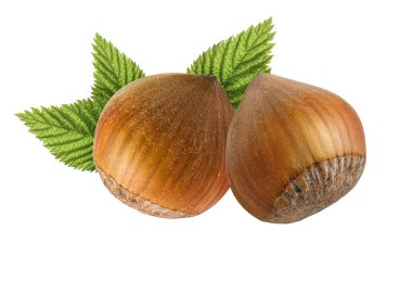 Fındık fıstığı beyaz arkaplanda izole edilmiş, tasarım ögesi