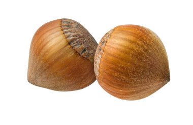 Fındık fıstığı beyaz arkaplanda izole edilmiş, tasarım ögesi