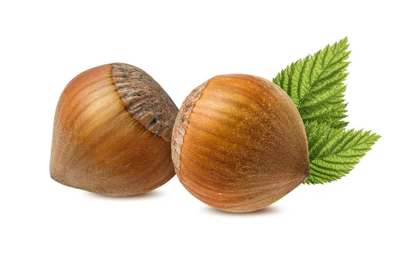 Fındık fıstığı beyaz arkaplanda izole edilmiş, tasarım ögesi