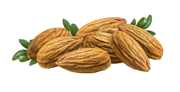 Almond Nuts Green Leaf Isolated White Background — Fotografia de Stock