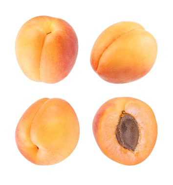 Kayısı beyaz arkaplanda izole edildi