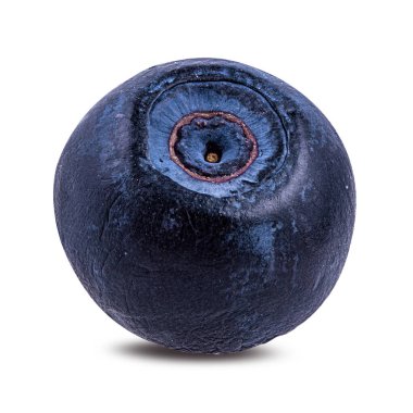 Yabanmersini izole edilmiş. Beyaz arka planda yabanmersini. Bilberry.