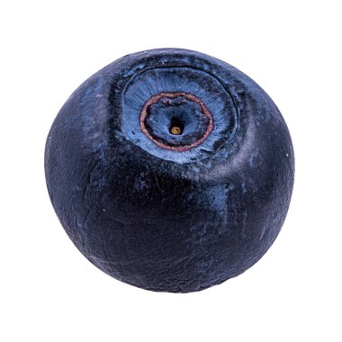 Yabanmersini izole edilmiş. Beyaz arka planda yabanmersini. Bilberry.