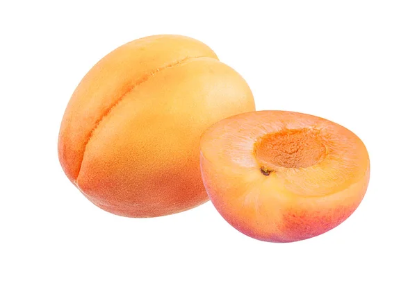 Apricot Isolated White Background — Stock Photo, Image