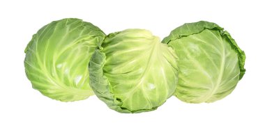 Beyaz arka planda izole edilmiş yeşil lahana