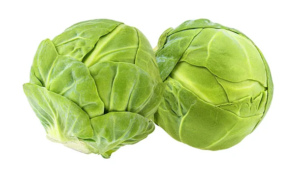 Beyaz arka planda taze Brüksel lahanası.