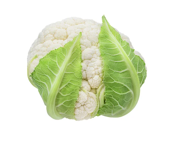 Cauliflower Isolated White Background — Stock Photo, Image