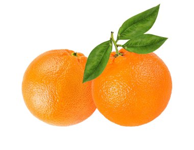  turuncu meyve beyaz arkaplanda izole edilir